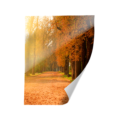 PAPEL FOTOGRAFICO MT²